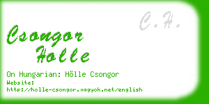 csongor holle business card