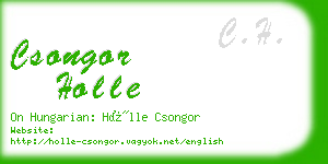 csongor holle business card